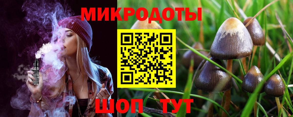 Псилоцибиновые грибы MAGIC MUSHROOMS Зима